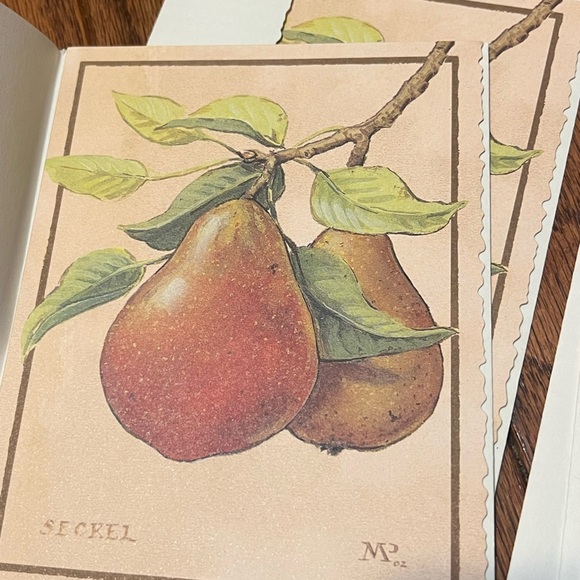 Southern Living 2002 Meg Page's Pears Artwork Blank 11 Cards and Evenlopes - Picture 5 of 7